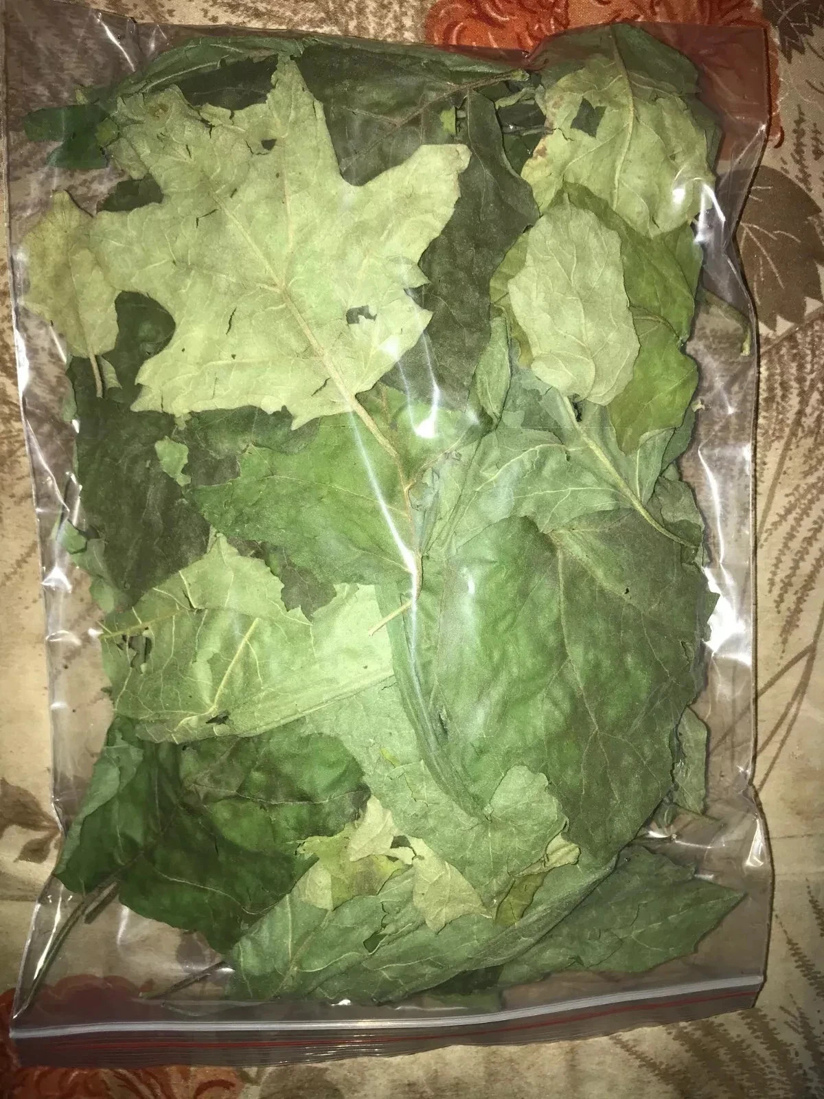 100% Dried Organic Turkey Berry Leaves (Solanum Torvum) Leaves Natural Pure Leaf