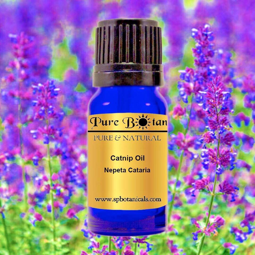 Catnip Essential Oil – 100% PURE & NATURAL – UNCUT – 10ml