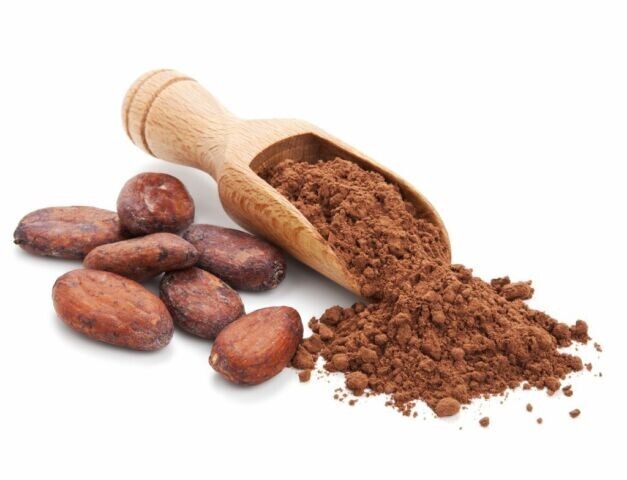 Raw Cacao Powder Dutch Processed / Alkalized – Chocolate Arriba Nacional Bean