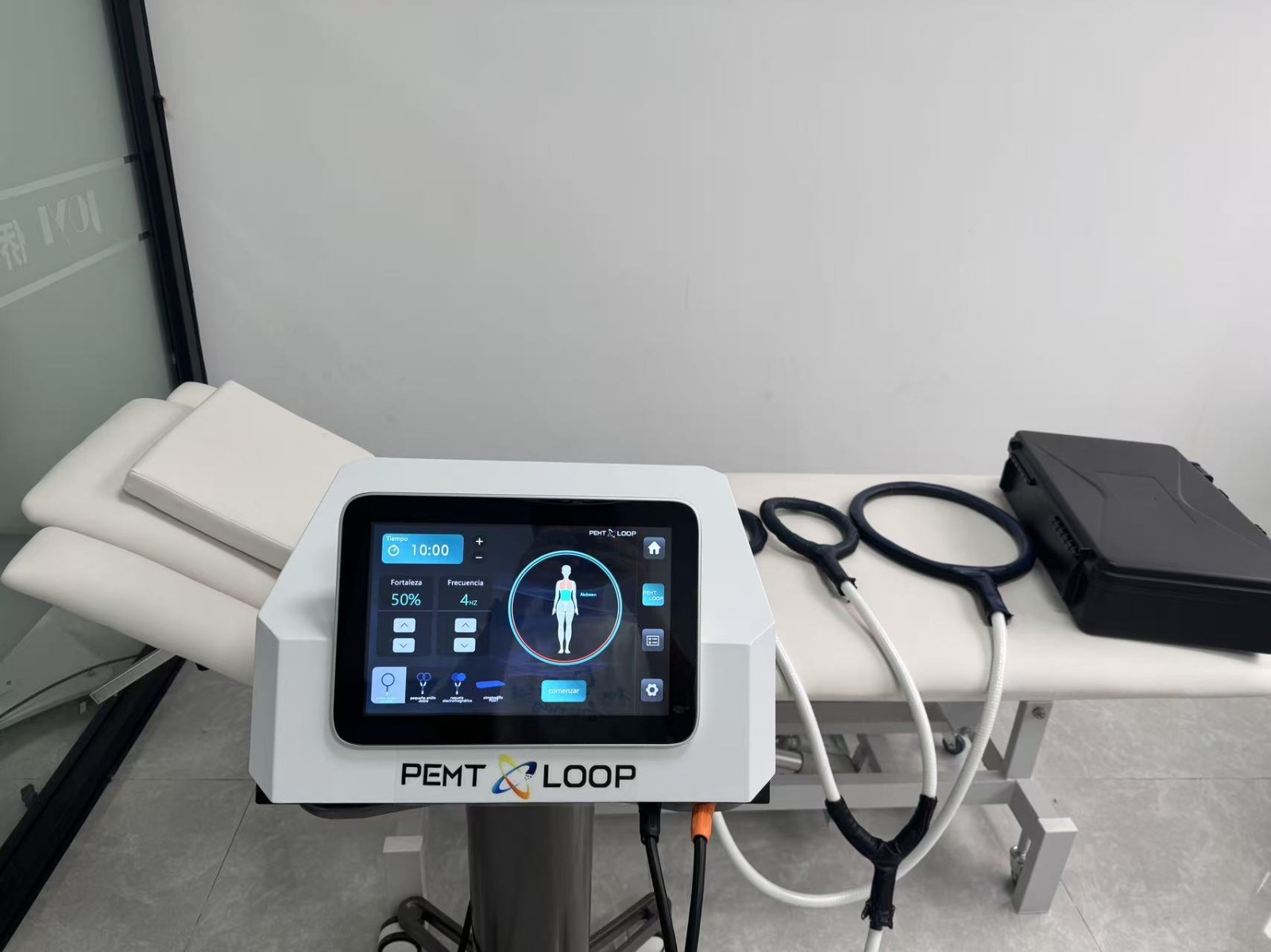 PMST Loop EMTT PEMF Machine Magnetic Physio Therapy Massage Pain Relief Animals