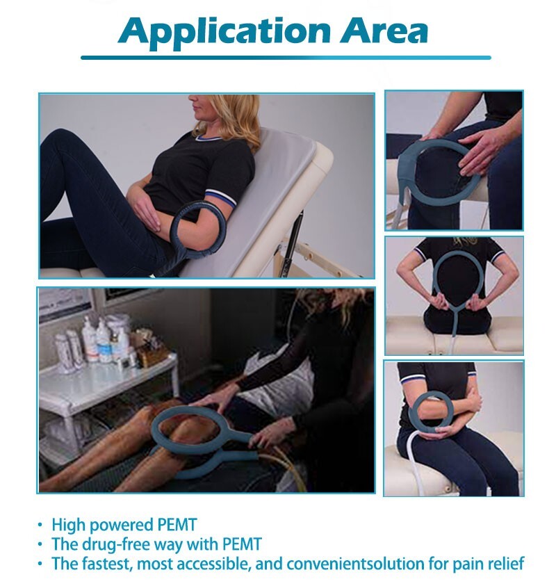 PMST Loop EMTT PEMF Machine Magnetic Physio Therapy Massage Pain Relief Animals