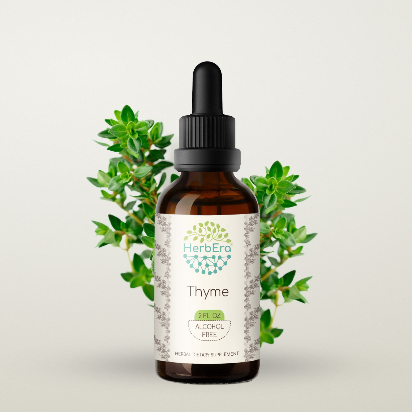 HerbEra Thyme Alcohol-FREE Herbal Tincture Organic Thyme (Thymus Vulgaris)