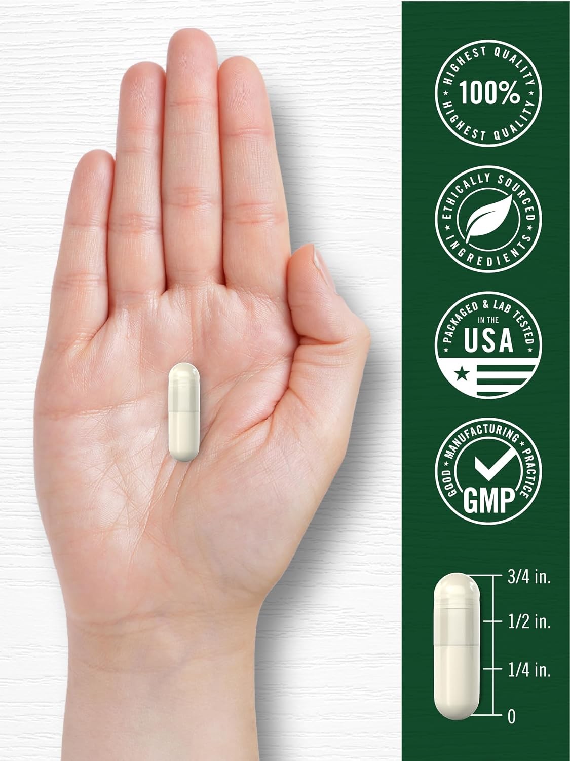 Mullein Leaf Capsules 1500mg | 200 Count | Verbascum Thapsus | by Carlyle