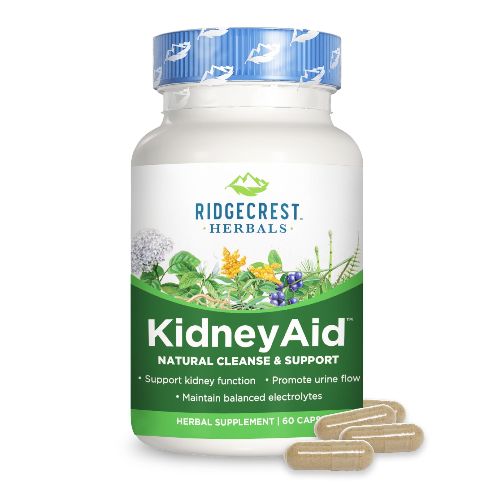 Ridgecrest Herbals KidneyAid Kidney Health Support Supplement Hydrangea Horse…