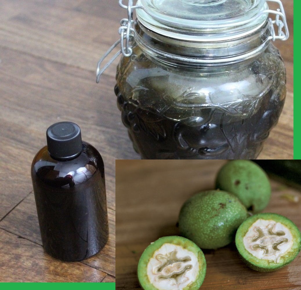 Black Walnut Extract 4 oz Organic Juglans nigra Ripe Green Hulls Tincture