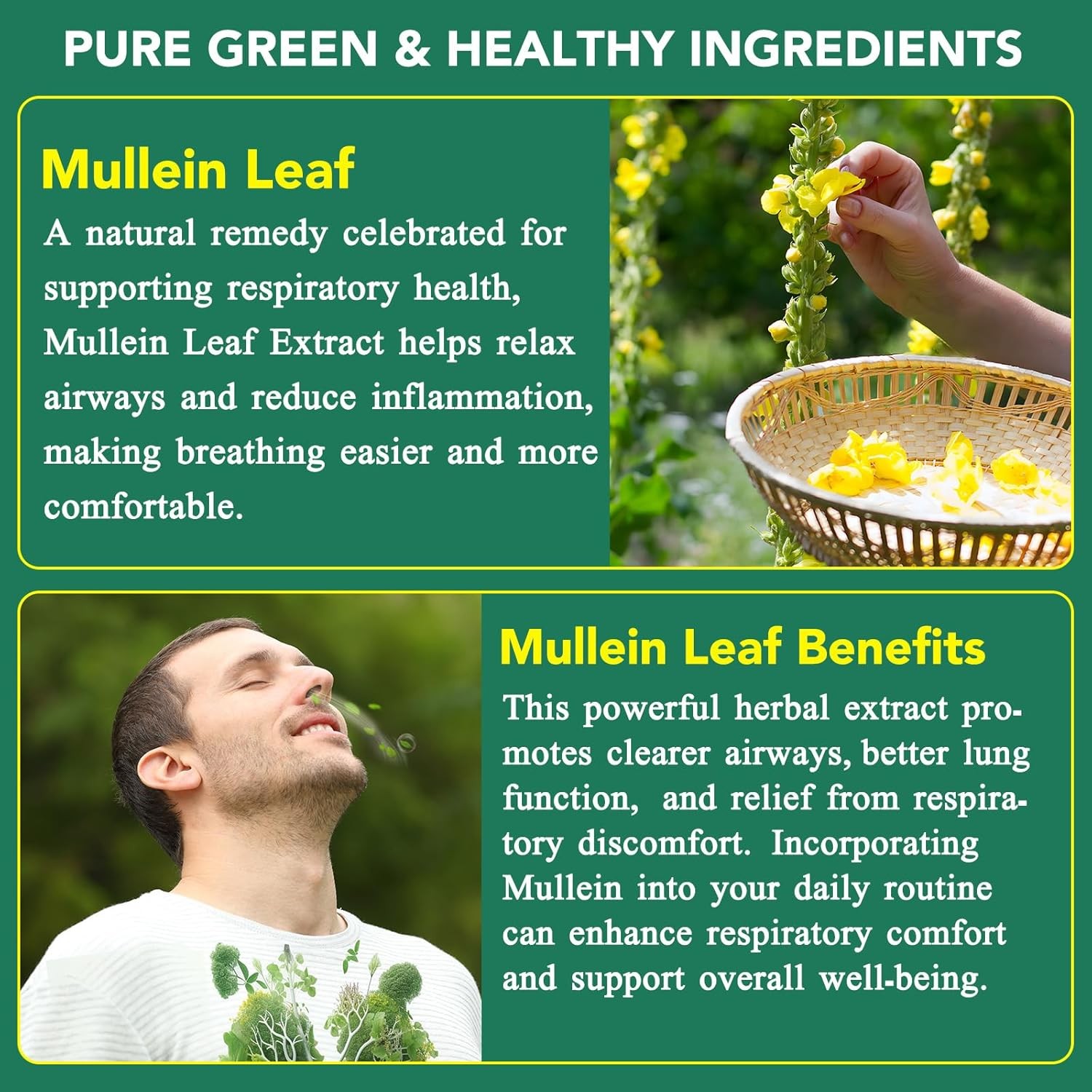 Organic Mullein Leaf Gummies – 60 Count, 2000mg for Lung Support
