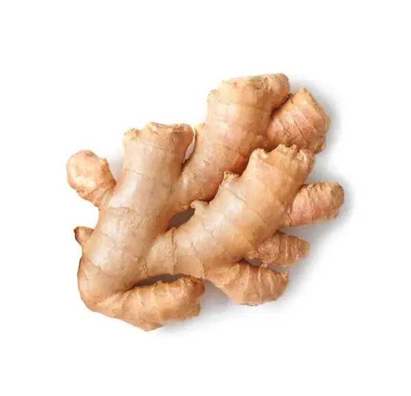 2 oz HILLBILLY’S Ginger Root Extract TINCTURE /w dropper