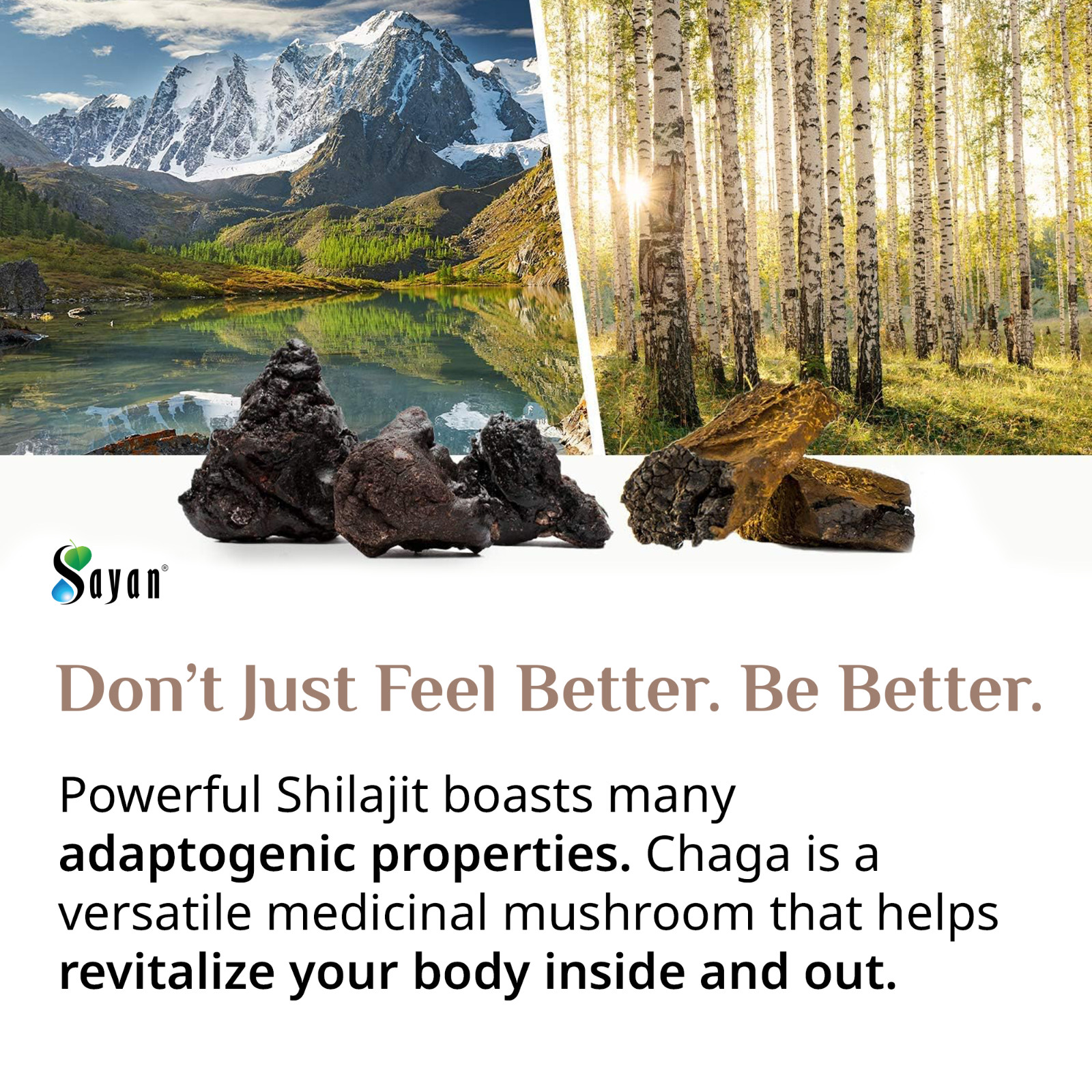 Chaga Mushroom & Shilajit Supplement 90 Caps Siberian Natural Immune Support