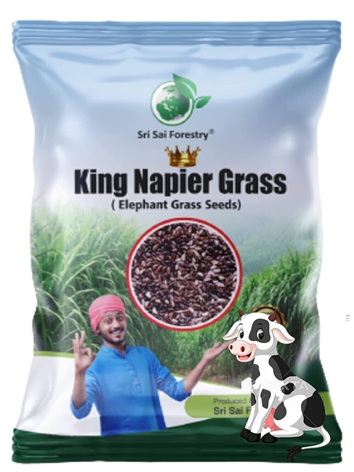 Napier Grass Seeb, Elephant Grass, Pennisetum purpureum,King Napier 100 g**