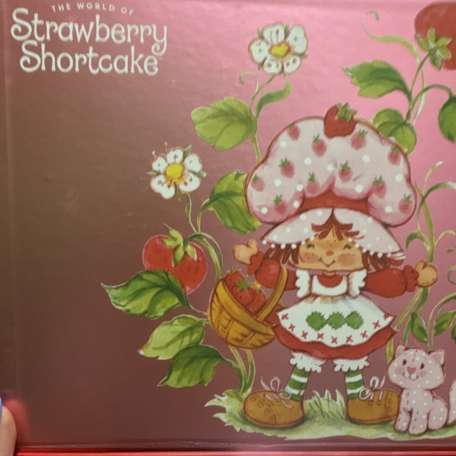 Strawberry Shortcake World Bath Set Bubble Bath Body Wash Collagen Mask Scrub