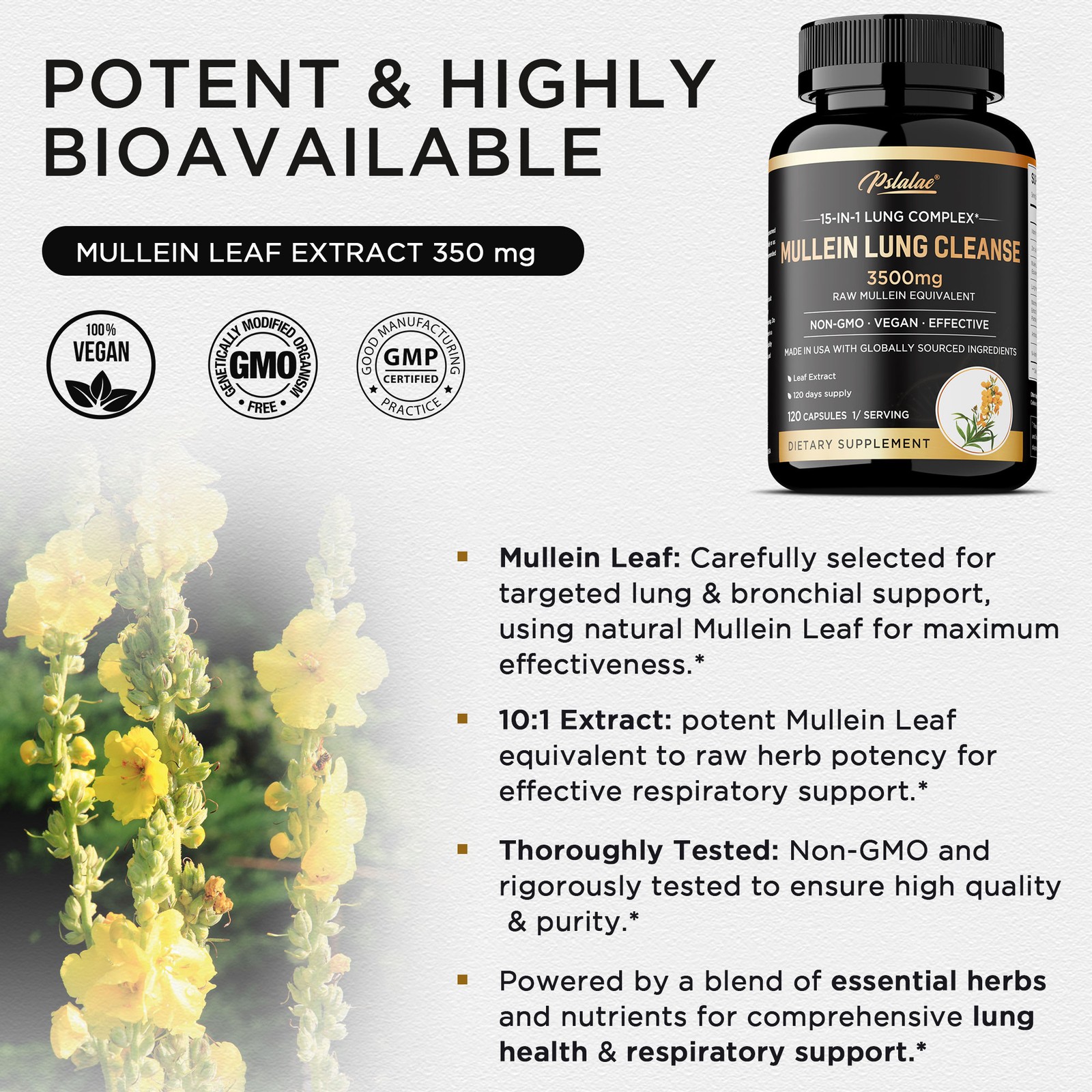 Mullein Lung Cleanse – Respiratory Health, Detox, Olive Leaf, Oregano Leaf