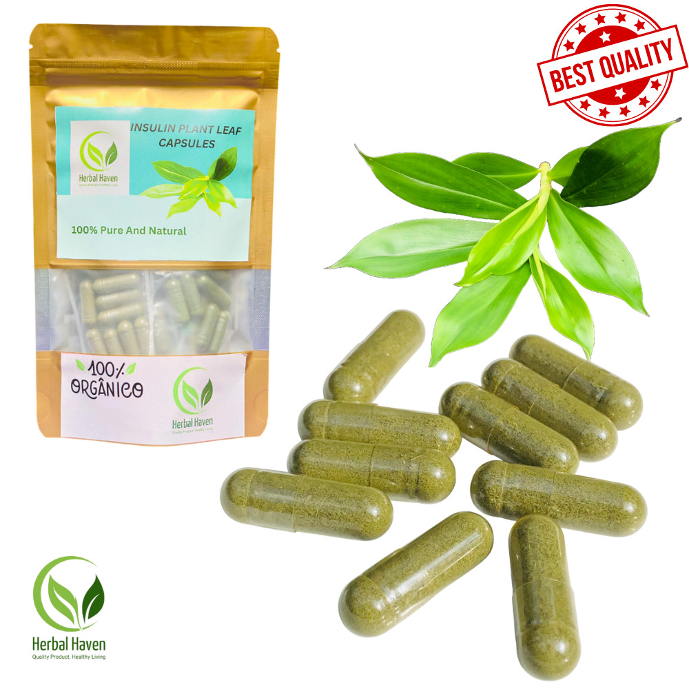 Natural Insulin Plant Leaves Capsules (600mg) Organic Herbal Costus Igneus Pure