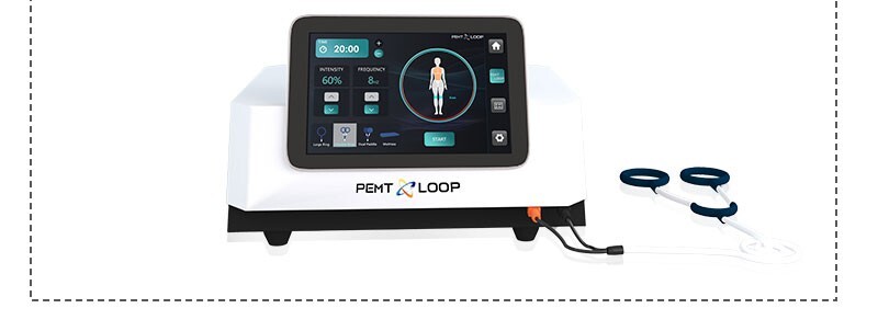 PMST Loop EMTT PEMF Machine Magnetic Physio Therapy Massage Pain Relief Animals