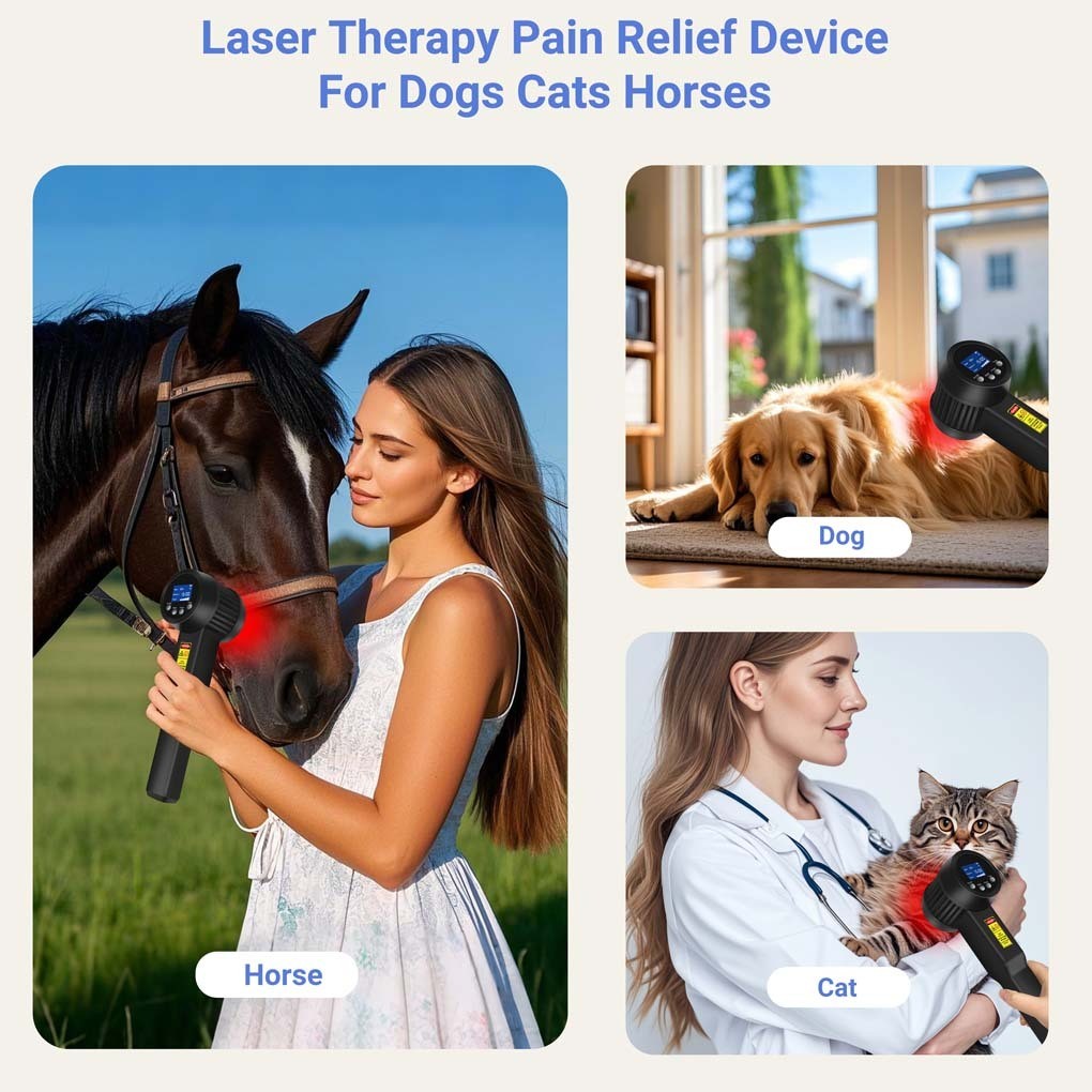 5W LLLT Cold Laser Therapy 808nm 650nm 25 Diodes for Wrist Pain Sciatica Relief