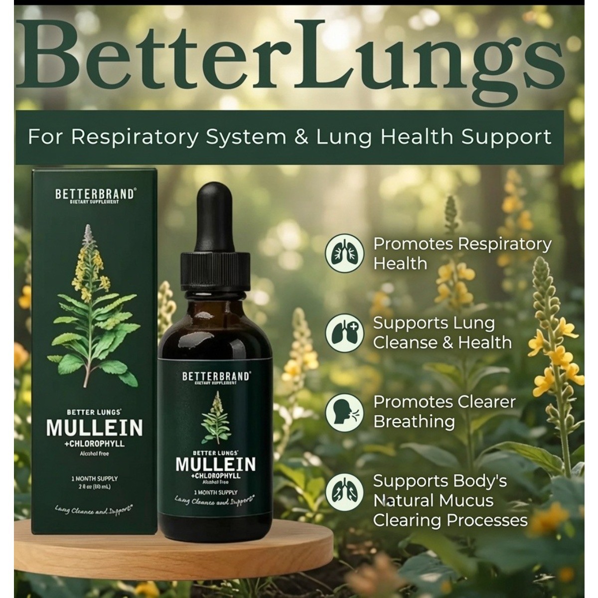 BetterBrand Mullein Leaf Extract Chlorophyll Respiratory Health 60ml