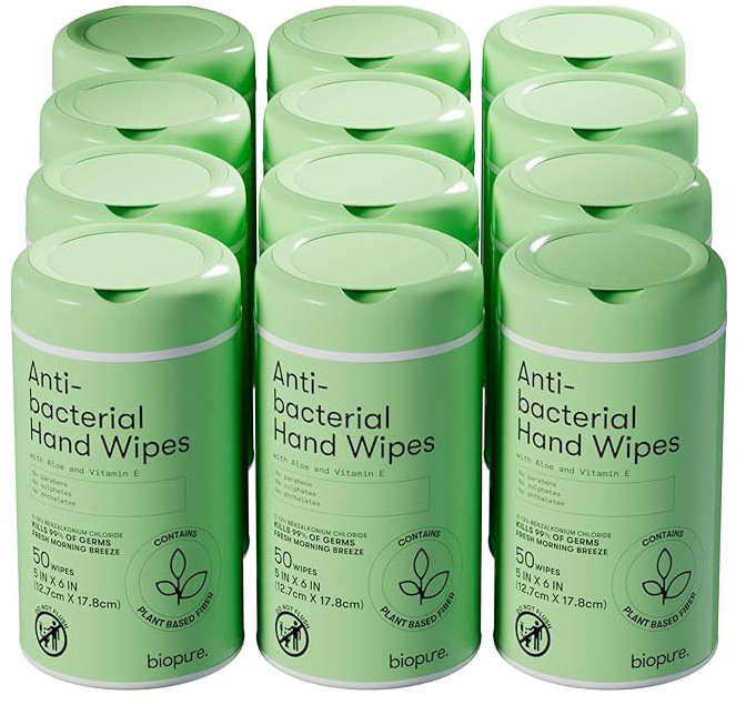 (2 cases) Lot of 24 Antibacterial Hand Wipes with Aloe and Vitamin E 1200 Count
