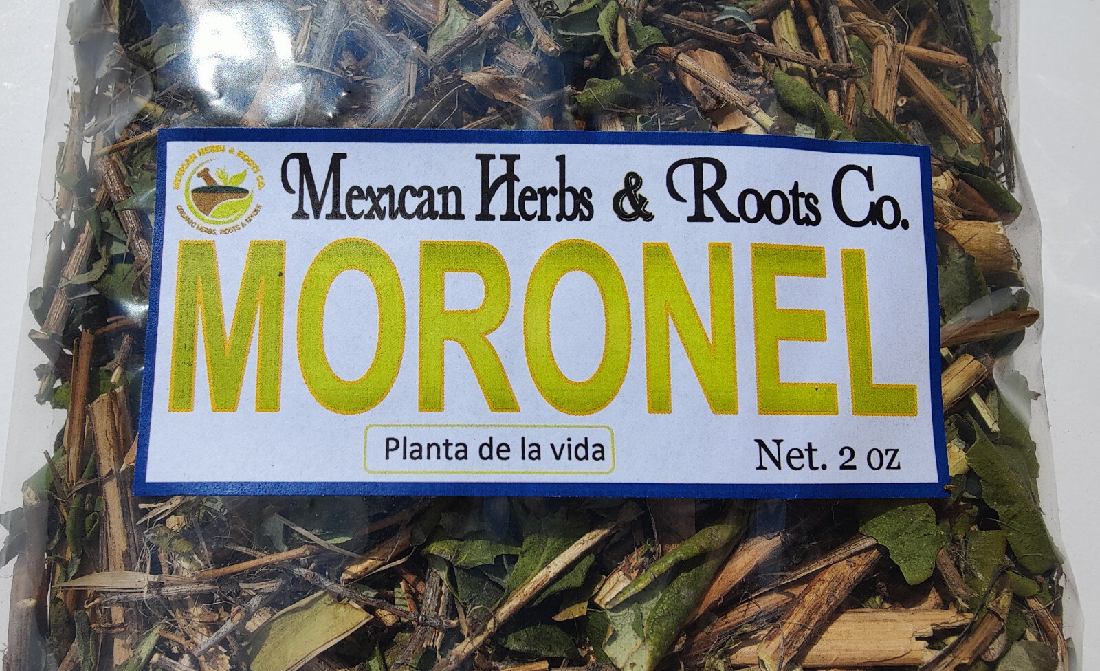 Moronel Planta de La Vida Te de moronel moronel organico hierba mexicana