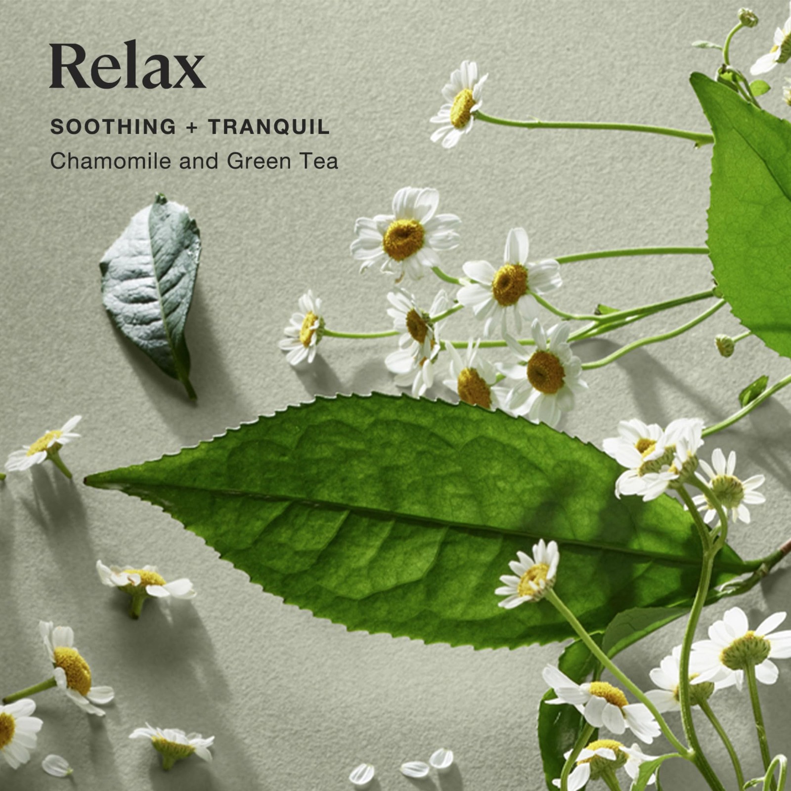 Sprig By Kohler Relax Aromatherapy Candle Chamomile And Green Tea 100 Natural