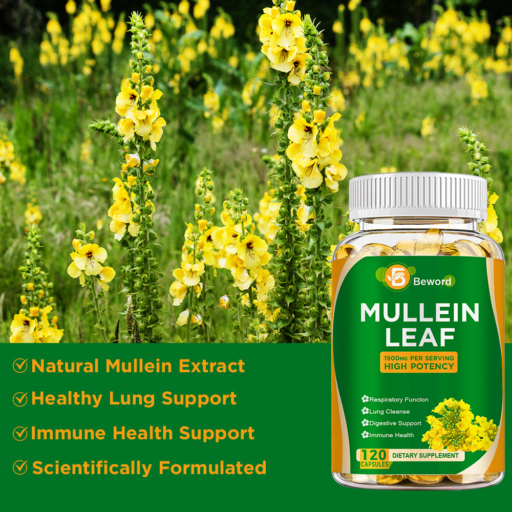 Mullein Leaf Capsules – Lung Cleanse & Cough Relief, Respiratory Health, Detox