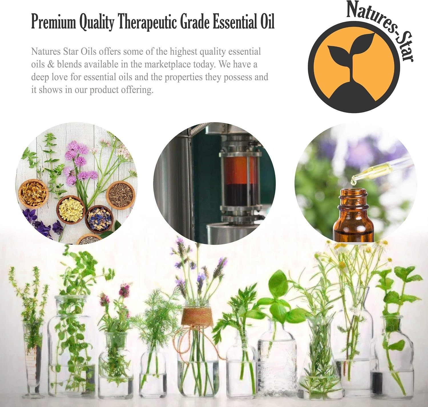 32oz Peppermint Essential Oil 2-Pack – Therapeutic Grade