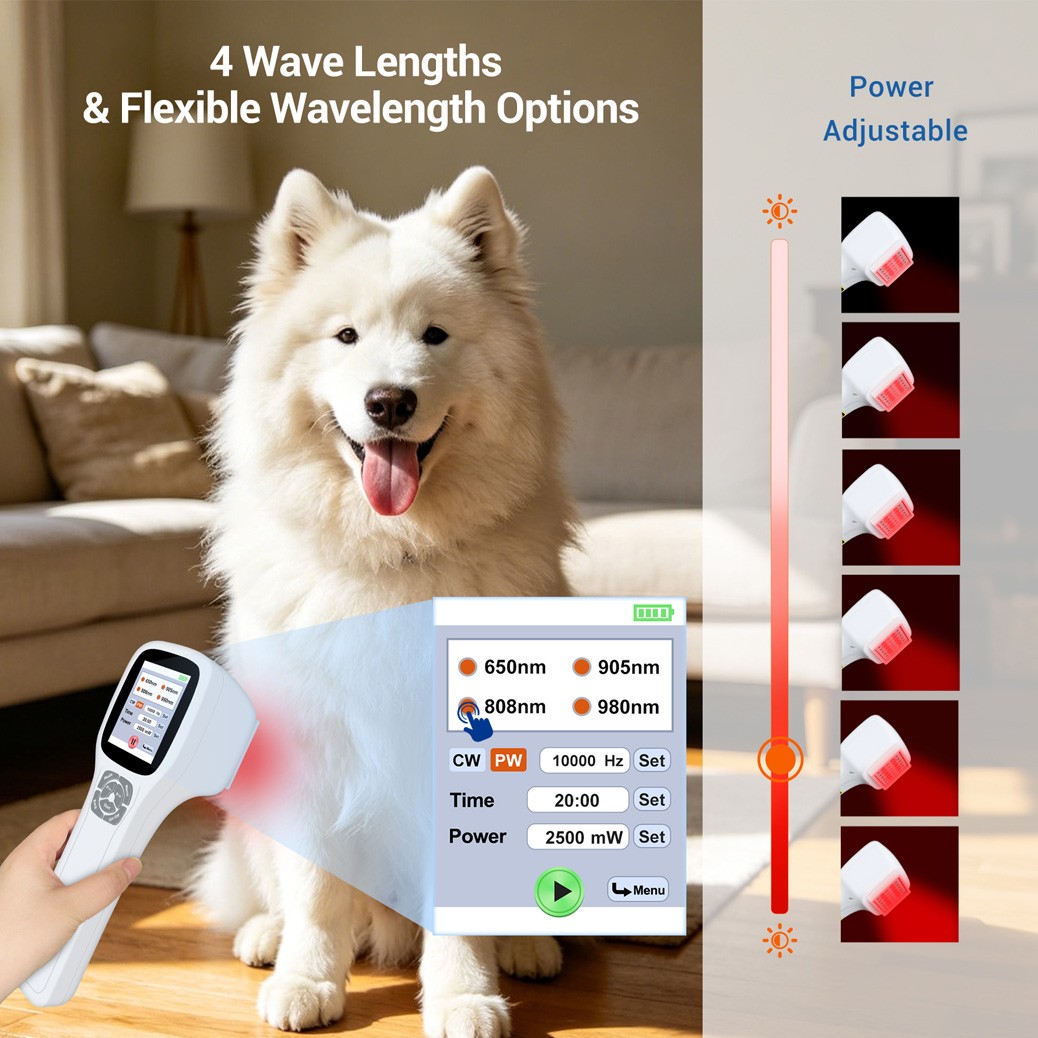 2500mW Low Level Laser Therapy Device for Joint Muscle Arthritis Pain 1-10000Hz