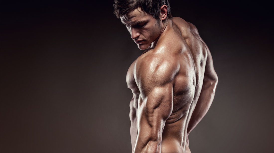 tribulus nutrition – TRIBULUS TERRESTRIS 120Tab – testosterone booster muscle