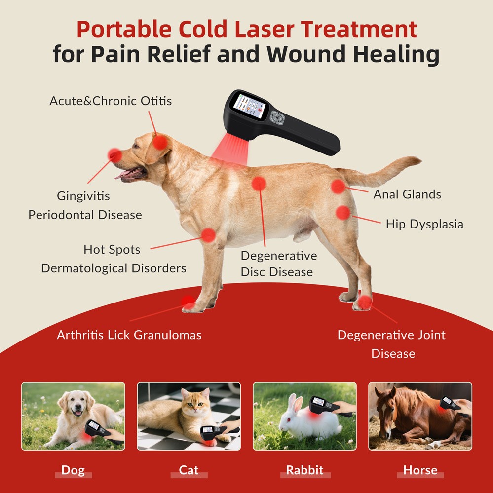 650nm 808nm 905nm 980nm LLLT Light Device Cold Laser Therapy for Pain Relief DA