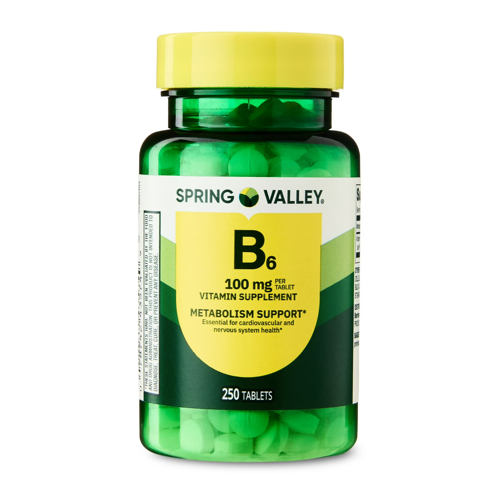 Spring Valley Vitamin B6 Supplement, 100 mg, 250 Count