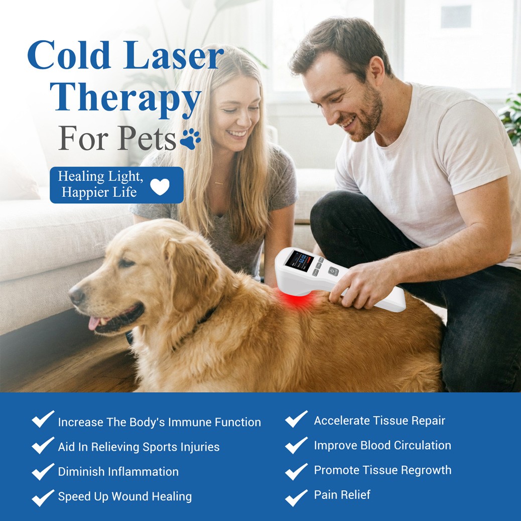 16x650nm+4x808nm Home Laser Therapy Device for Back Neck Elbow Knee Pain Relief