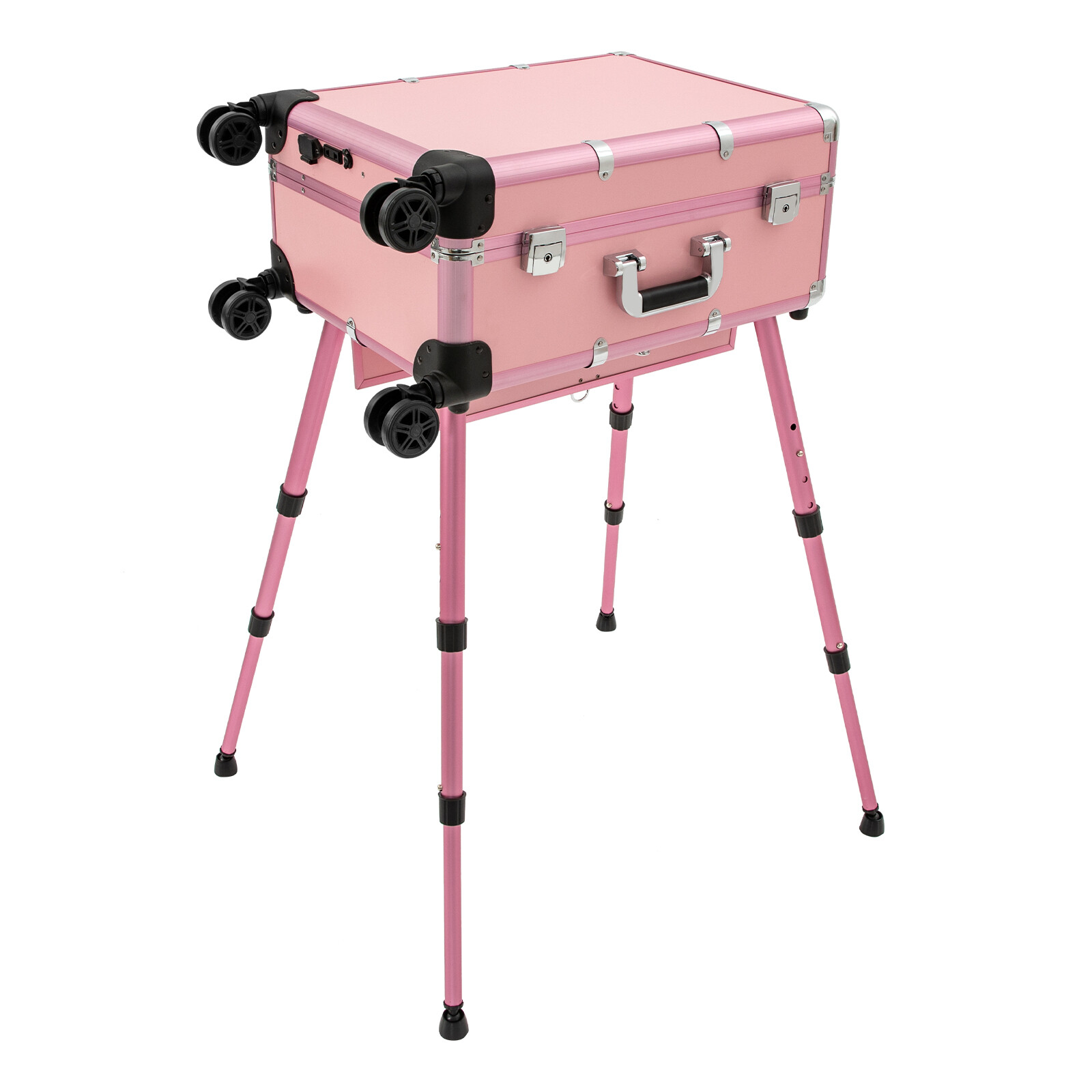 Professional Cosmetic Travel Case Vanity Organizer Rolling Makeup Train Case