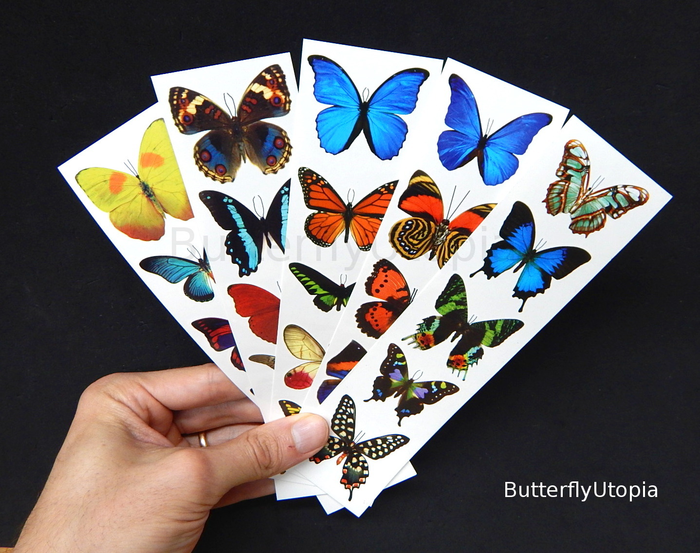 Temporary Fake Butterfly Tattoos – 5 sheets (25 tattoos), Colorful Butterflies