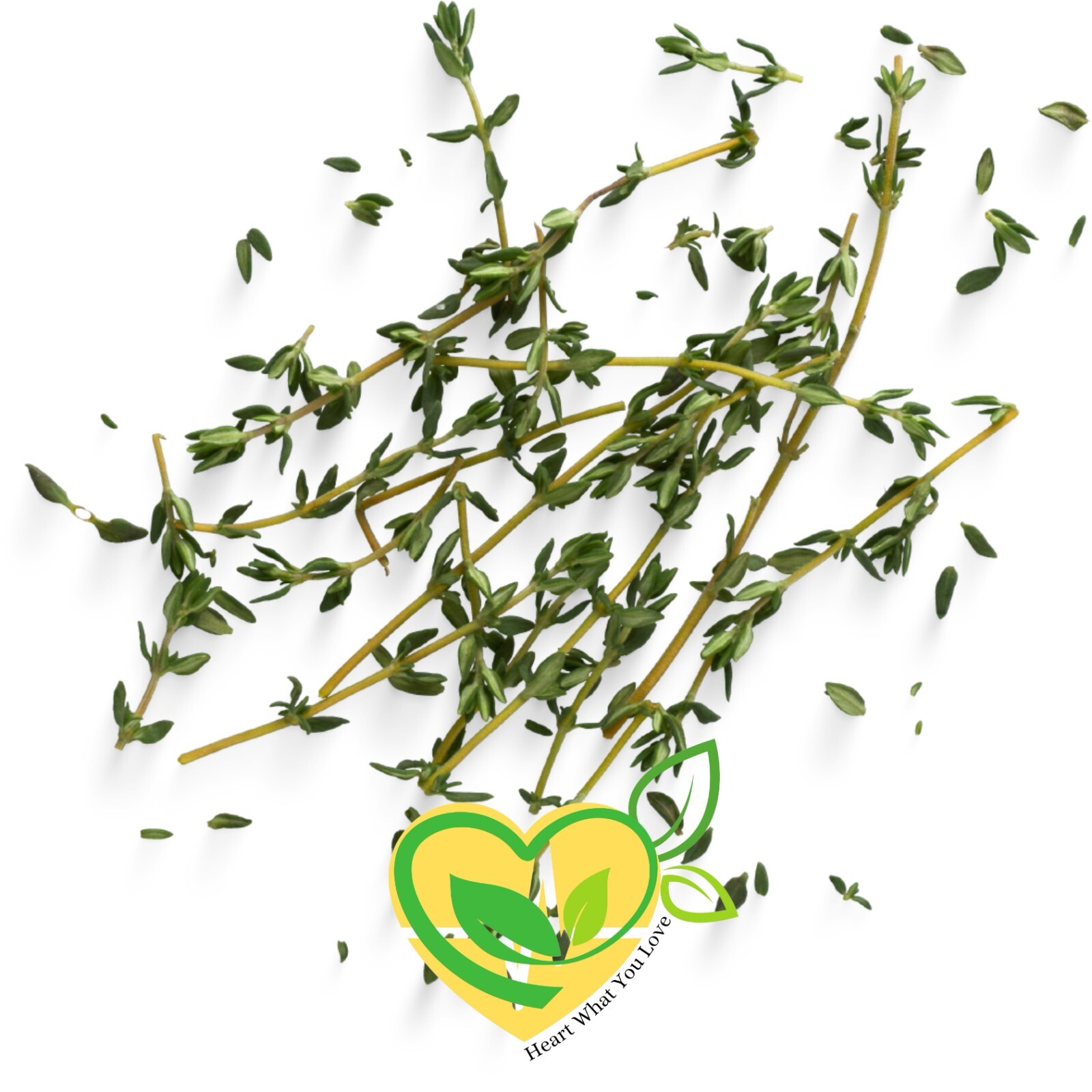 Organic Thyme Leaf Natural Herb Dried Cut 28.3g | 1 OZ Culinary & Medicinal Aid
