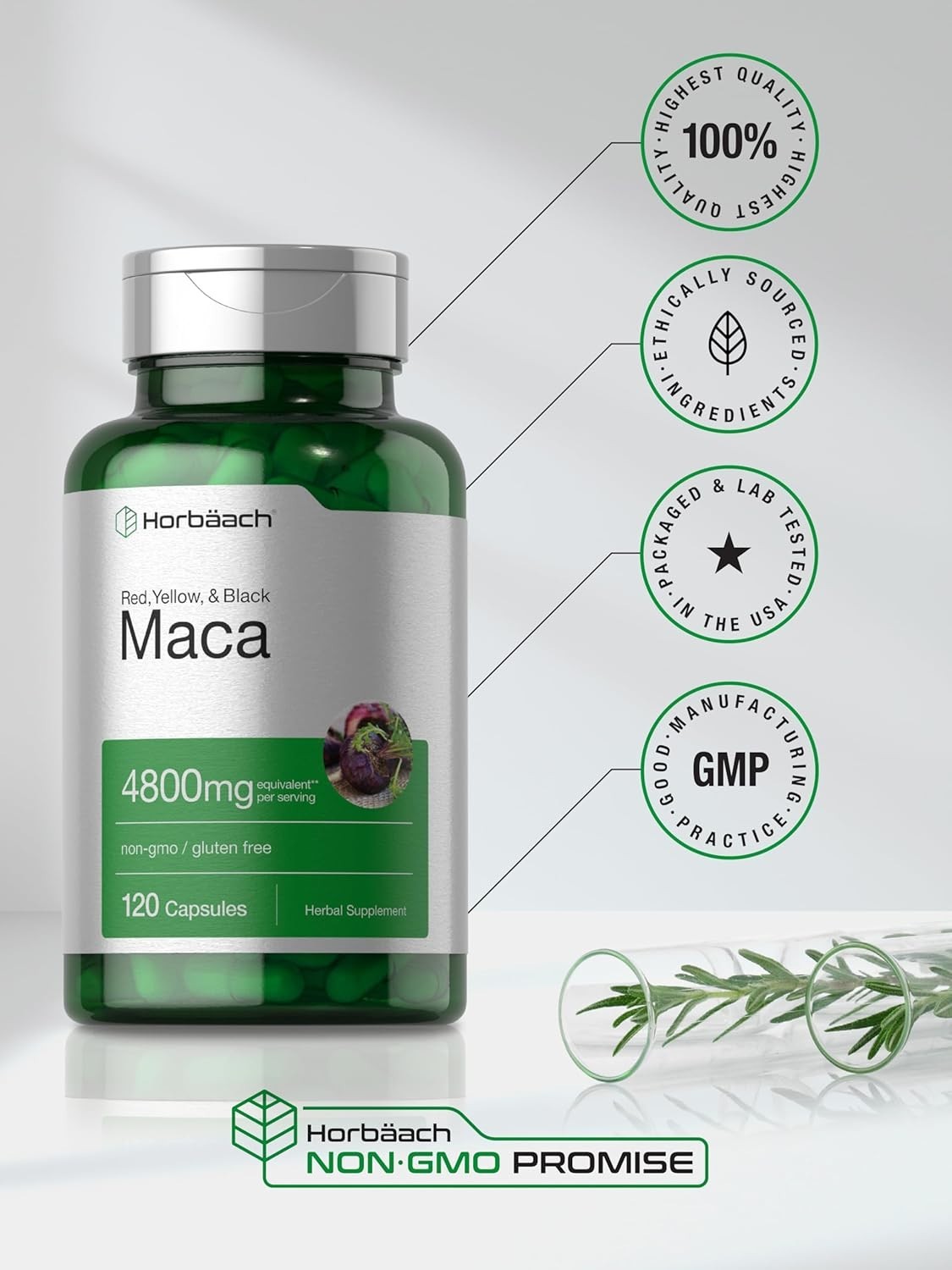 Horbäach Maca Root Capsules for Men and Women | 120 Pills | High Potency Extract