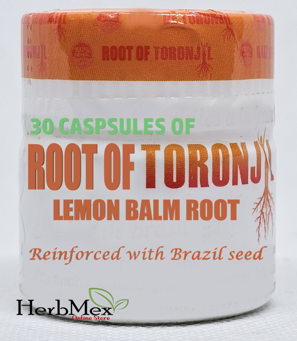 Lemon balm root capsules raiz de toronjil brazil seed weight loss burns fat