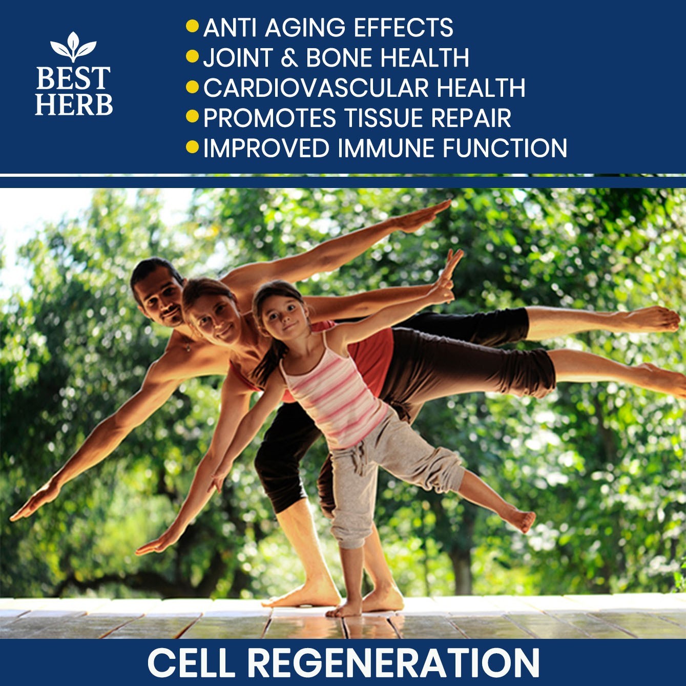 2x Stem Cell Multi Formula Vitality Supplement Cellular Renewal + Tissue Repair
