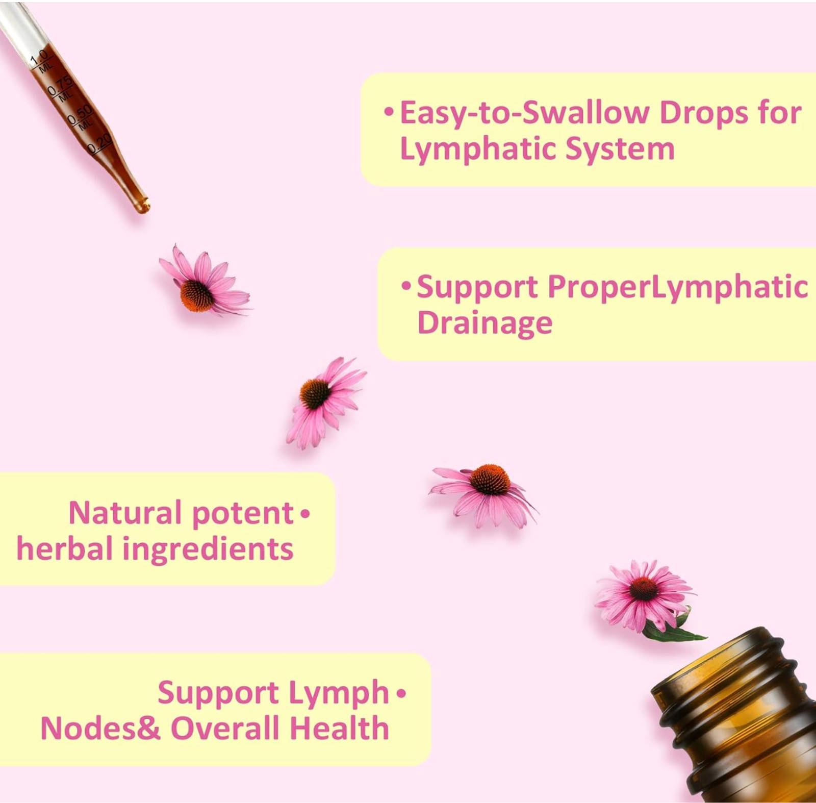 Liposomal Lymphatic Drainage Drops Echinacea Turmeric Immune Support 2oz