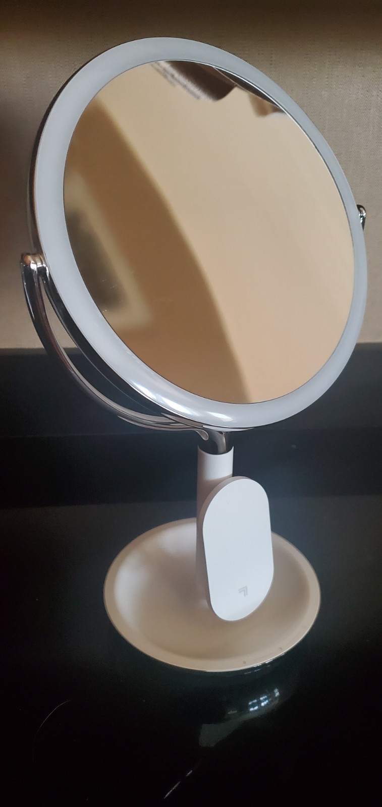Sharper Image Spa Studio Vanity Mirror