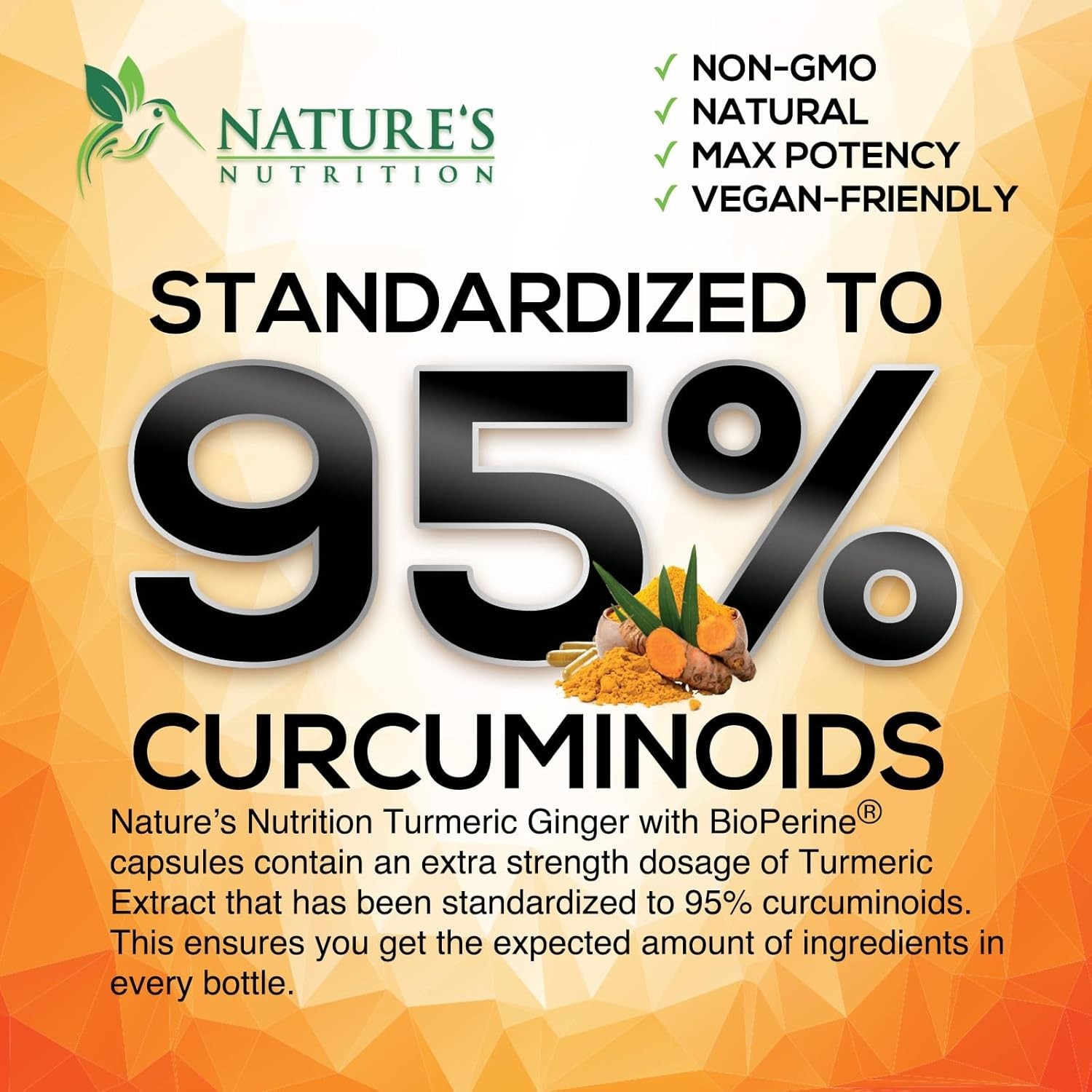 Turmeric Curcumin Supplement 2600mg – with Organic Ginger & Turmeric – BioPerine