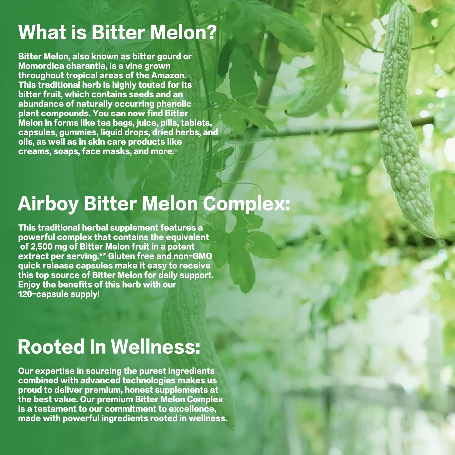 Bitter Melon Complex 2500mg -Reduces Blood Sugar, Weight Loss, Enhances Immunity