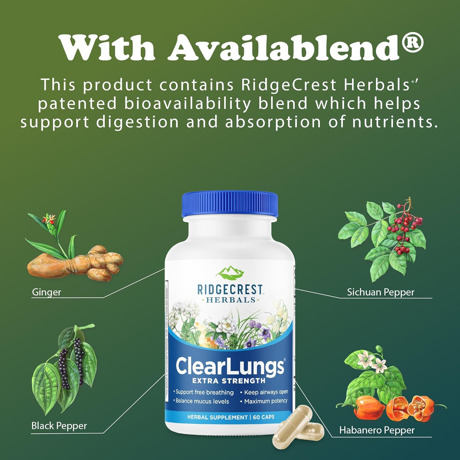 Ridgecrest Herbals Clearlungs Extra Strength, Daily Health Supplement, Natural L