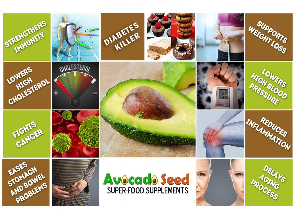 120 Raw Avocado Seed + Matcha Capsules (1000 mg) – Digestion,Energy,Fiber & More