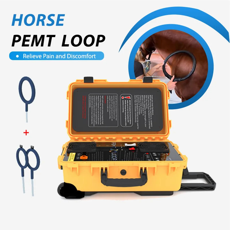 PMST Loop Magnetic Therapy PEMF EMTT Physio Magneto Horse Humans Massage Machine