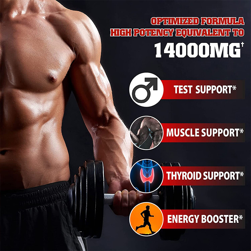 Panax Ginseng Support Testing Muscles Thyroid Gland Enhance Energy 120 Capsules