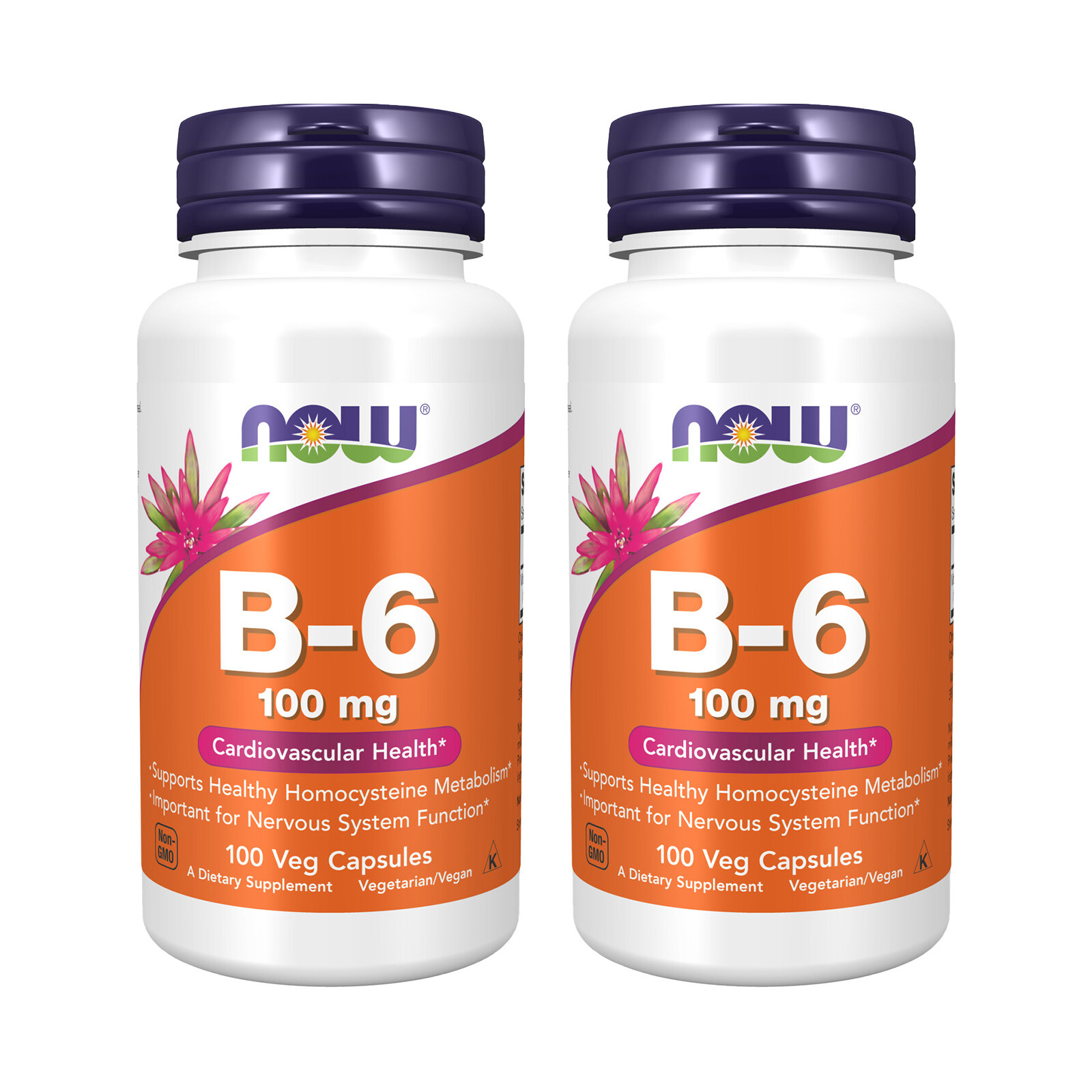 2 x NOW Vitamin B6 Pyridoxine HCl 100 mg Cardiovascular Health 100 Veg Caps