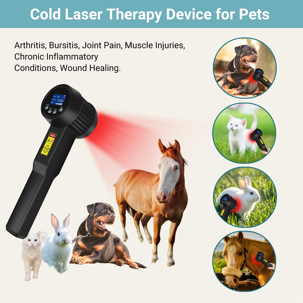 LLLT 25 Diodes Class 4 Laser Therapy 6808nm 10W Arthritis Relief for Home Use
