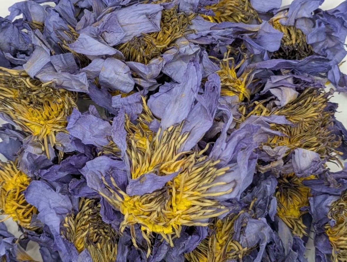 Egyptian Blue Lotus Whole Flower 400 Grams – Nymphaea Caerulea – Best Quality