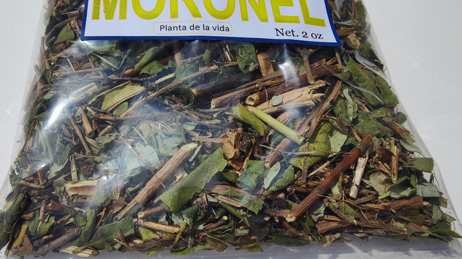 Moronel Planta de La Vida Te de moronel moronel organico hierba mexicana