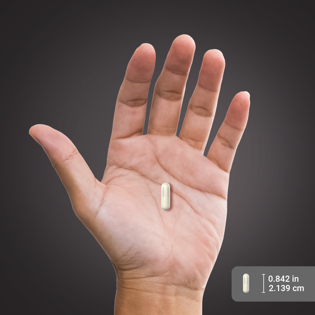 L-Glutamine, 2000 mg (per serving), 240 Quick Release Capsules