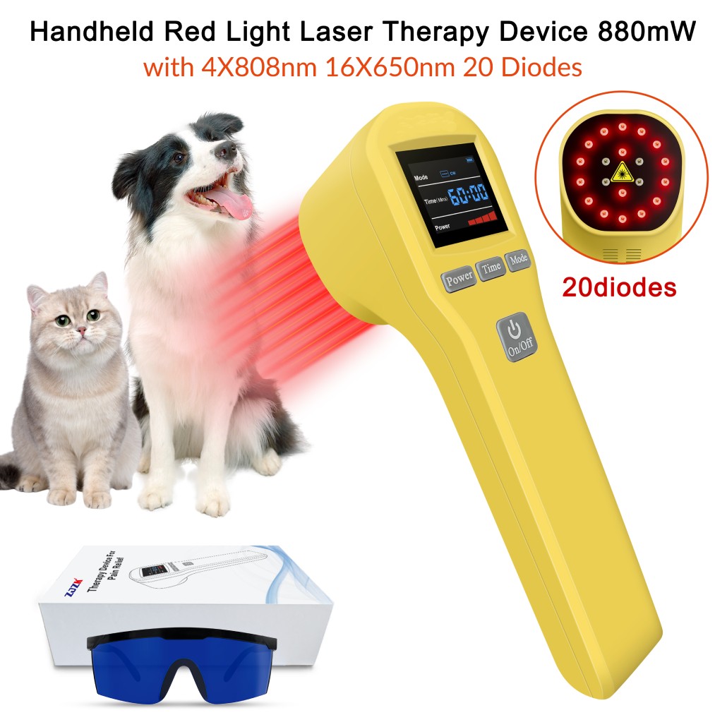 20 Diodes Red Light Laser Therapy Device 650nm 808nm for Back Knee Pain Relief