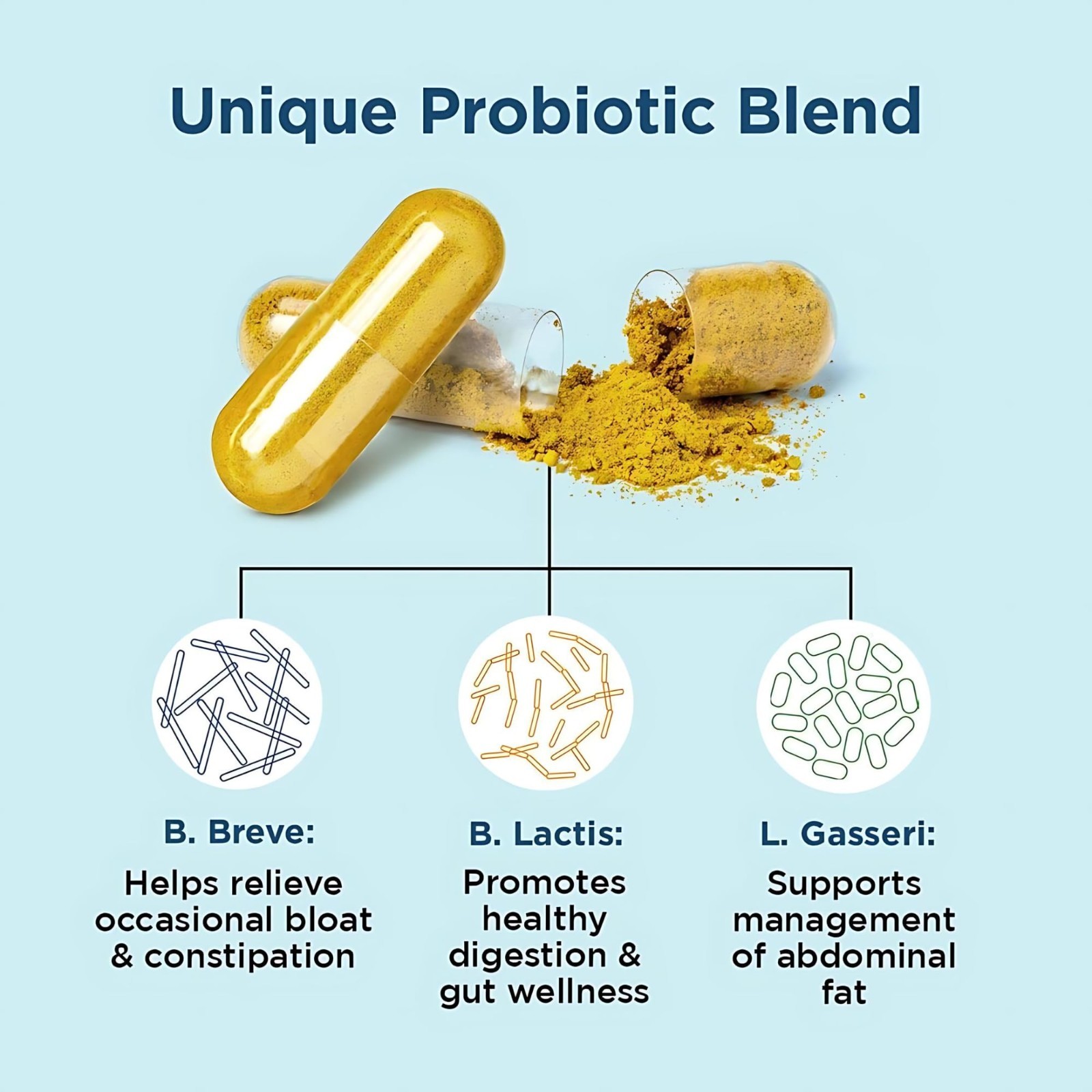 Synbiotic Supplement with Botanical Extracts Daily Digestive Gut Health Wellness